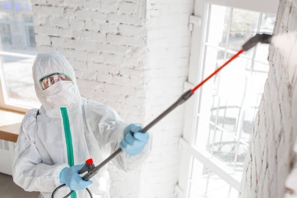 Best Mold Documentation for Insurance Claims  in Milford, NE