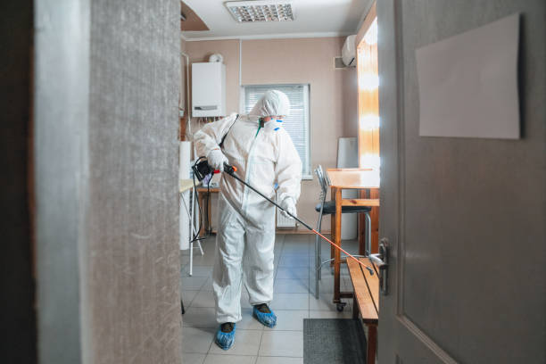 Best Mold Remediation for Healthcare Facilities  in Milford, NE