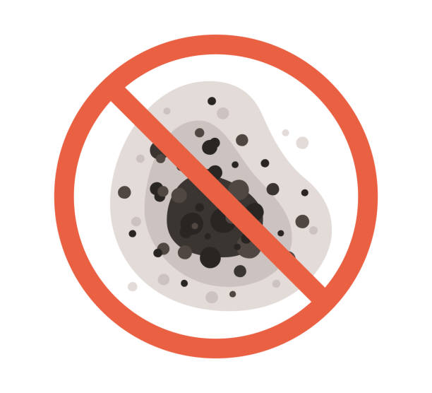 Best Mold Damage Restoration  in Milford, NE