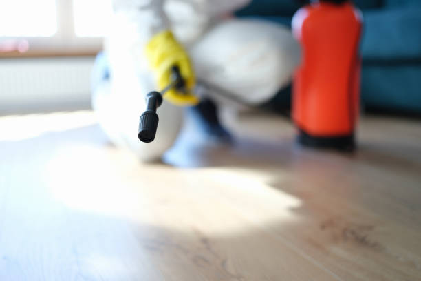 Best Biohazard Mold Removal  in Milford, NE