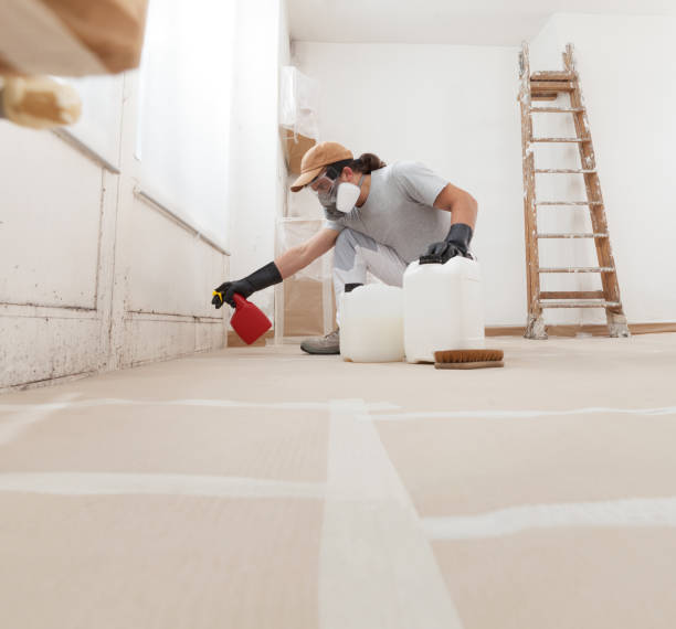 Reliable Milford, NE Mold Removal Solutions