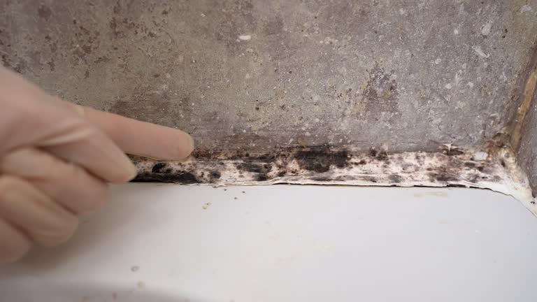 Mold Remediation for Rental Properties in Milford, NE